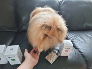 아롱이님이 올린 리뷰 사진 4