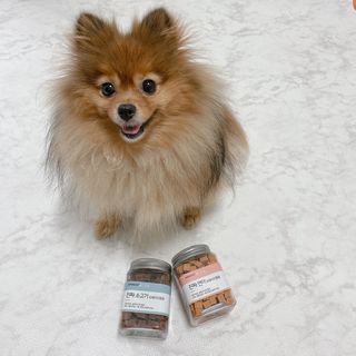 페페로니 진짜 오메가3 연어+소고기 180g+180g — 5점을 준 리뷰어가 2021년 7월 올린 사용 사진