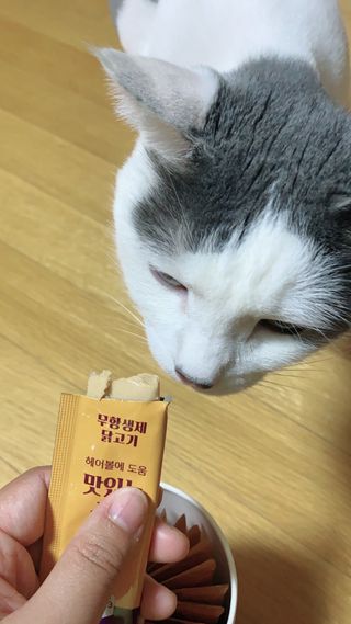 페페로니 맛있는 스틱 - 무항생제 닭고기 15개 + 알래스카 연어 15개 — 4.5점을 준 리뷰어가 2021년 9월 올린 사용 사진