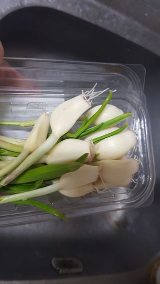 재느님님이 올린 리뷰 사진 3