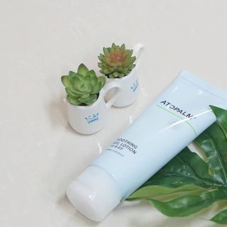 HaySunSong님이 올린 리뷰 사진 2