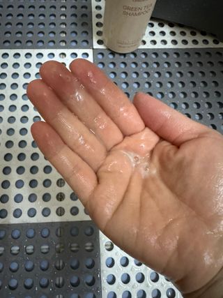 프리마인 더이상 뻣뻣하고 효과없는 탈모샴푸는 NO. 근본부터 케어하는 셀베이스 그린티샴푸(500ml) — 5점을 준 리뷰어가 2023년 3월 올린 사용 사진