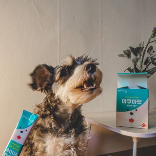 펫시랩 반려견용 액상 프리바이오틱스 아쿠아펫 — 5점을 준 리뷰어가 2021년 1월 올린 사용 사진