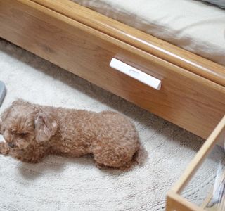 아카라 어두울 때 포근하게 감싸주는 스마트 무선 센서등(2SET) — 5점을 준 리뷰어가 2022년 4월 올린 사용 사진