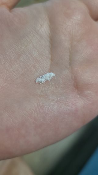 광동생활건강 [세계판매1위 유산균] 컬처렐 키즈 패킷 30포1박스 — 5점을 준 리뷰어가 2022년 7월 올린 사용 사진