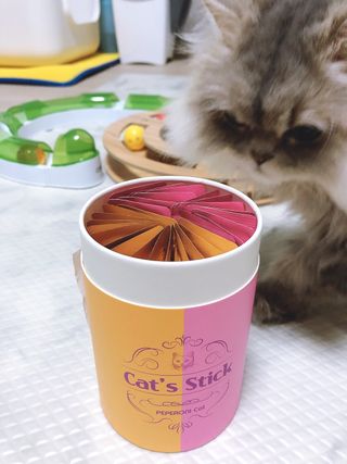 꼬끼오님이 올린 리뷰 사진 2