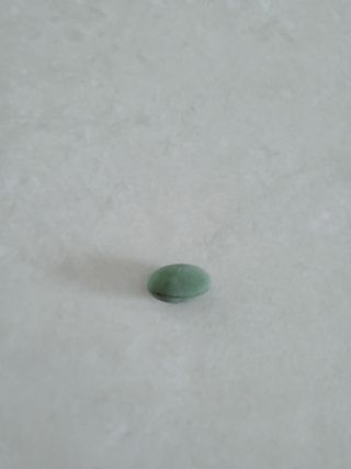 콩수니맘님이 올린 리뷰 사진 2