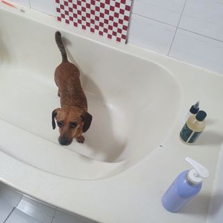 승희님이 올린 리뷰 사진 4