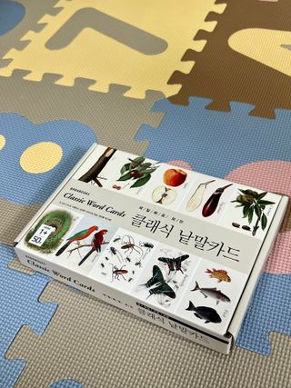 바바북스 바바 클래식 낱말카드 — 5점을 준 리뷰어가 2024년 1월 올린 사용 사진