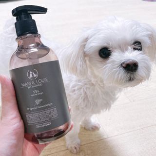 마리앤루이펫샴푸 [mari and louie pet shampoo] — 5점을 준 리뷰어가 2021년 5월 올린 사용 사진