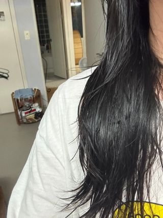 예지님이 올린 리뷰 사진 1