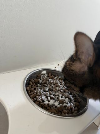 숑굥님이 올린 리뷰 사진 1
