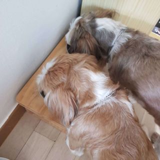 민준맘님이 올린 리뷰 사진 3