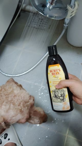 무지개둥이네님이 올린 리뷰 사진 4