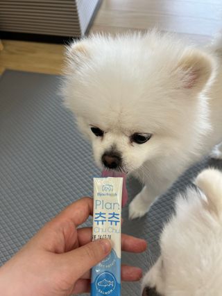 도로2님이 올린 리뷰 사진 2