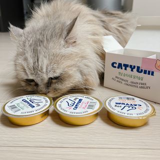 블랑님이 올린 리뷰 사진 2