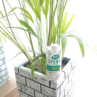 셀렉스스포츠 셀렉스 스포츠 웨이 프로틴 복숭아_ 330ml x 12팩 — 5점을 준 리뷰어가 2021년 3월 올린 사용 사진