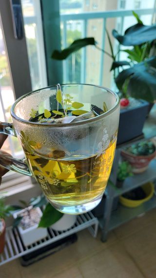 산그리메 아카시아+목련+매화+슬림 유자차 Set — 5점을 준 리뷰어가 2021년 10월 올린 사용 사진