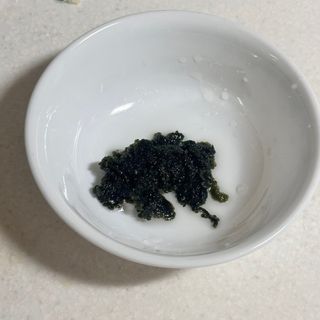 [피터씨마켓] 바다포도 100g(20g x 5봉) 우미부도 그린캐비어 ASMR 소분포장 — 4점을 준 리뷰어가 2024년 8월 올린 사용 사진