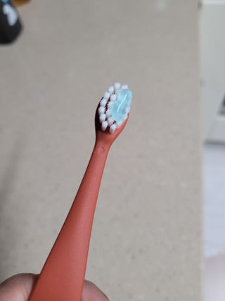 Kkukku님이 올린 리뷰 사진 4