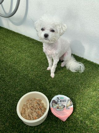 큐티윤님이 올린 리뷰 사진 3