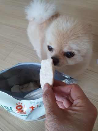[펫시밀] 원물그대로 영양듬뿍 동결건조 왕북어트릿300g,왕치킨트릿400g,열빙어트릿300g 대용량 간식 — 5점을 준 리뷰어가 2023년 5월 올린 사용 사진