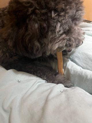 딸기호떡님이 올린 리뷰 사진 4