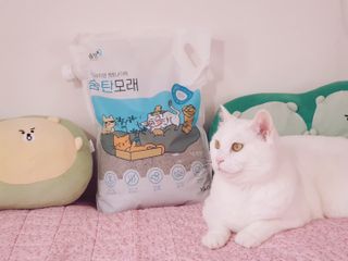 엘양님이 올린 리뷰 사진 2
