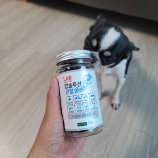 랩솔루션 강아지 영양제 3종 중 택 1 — 4점을 준 리뷰어가 2022년 5월 올린 사용 사진