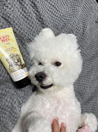 융투님이 올린 리뷰 사진 1