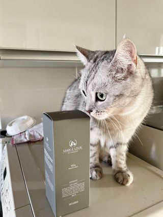 마리앤루이펫샴푸 [mari and louie pet shampoo] — 5점을 준 리뷰어가 2021년 6월 올린 사용 사진