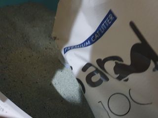 [샌드백] 프리미엄 벤토나이트 고양이모래 — 5점을 준 리뷰어가 2020년 12월 올린 사용 사진
