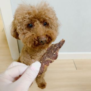 kkyo님이 올린 리뷰 사진 4