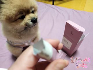 꼬마마녀와꼬망마님이 올린 리뷰 사진 3