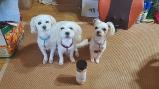 공팔리터님이 올린 리뷰 사진 2