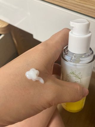 붕붕마니아님이 올린 리뷰 사진 1