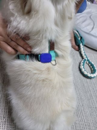 윤윤님이 올린 리뷰 사진 1