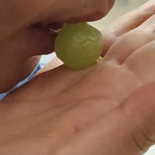 청포도캔디 복숭아캔디 — 5점을 준 리뷰어가 2022년 11월 올린 사용 사진