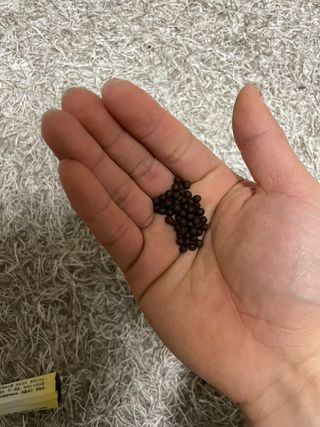 밀키쏨이님이 올린 리뷰 사진 2