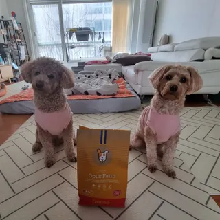 기린짱맘님이 올린 리뷰 사진 3