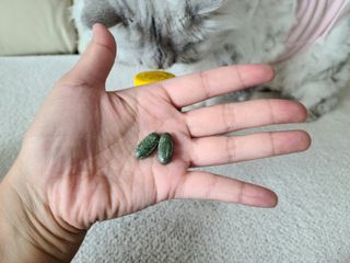 또이맘님이 올린 리뷰 사진 3