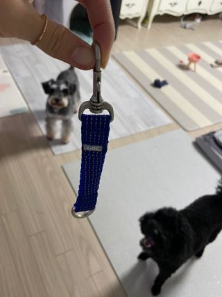 베이컨박스 [BACON] 고아웃클럽 산책 안전벨트 라이트 - 소형견용 — 5점을 준 리뷰어가 2021년 12월 올린 사용 사진