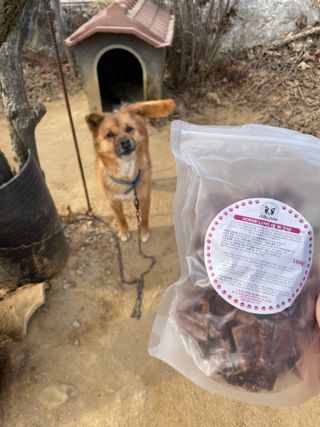 [졸리졸리]말 폐(HORSE LUNG) — 5점을 준 리뷰어가 2023년 2월 올린 사용 사진