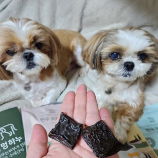베베츄님이 올린 리뷰 사진 3