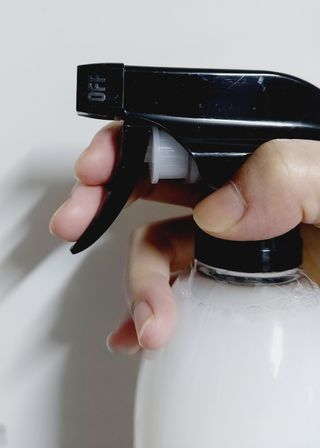 편백하라 피톤치드 편백수 탈취제 500ML — 5점을 준 리뷰어가 2022년 10월 올린 사용 사진