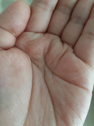 도도맘님이 올린 리뷰 사진 4