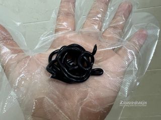 HaejinSeung님이 올린 리뷰 사진 2