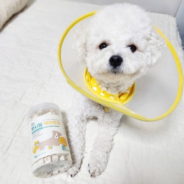 [펫시밀] 원물그대로 영양듬뿍 진공동결건조 북어트릿75g,치킨트릿100g,연어트릿75g 강아지 고양이 간식 리뷰 사진