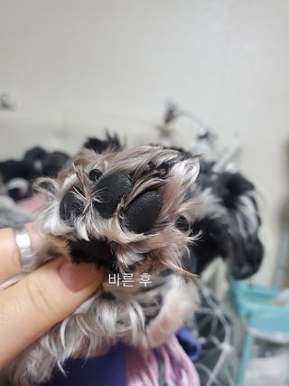 하희님이 올린 리뷰 사진 4