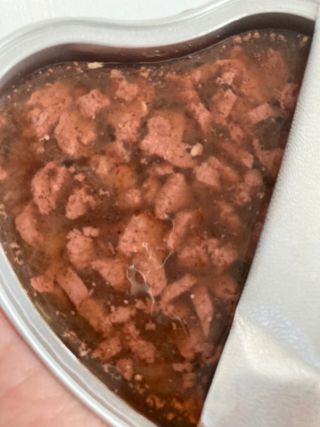 비타크래프트 조에시 하트캔 85g 강아지 습식캔 10캔 — 5점을 준 리뷰어가 2021년 10월 올린 사용 사진